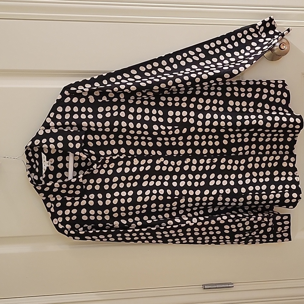 Cabi Silk Blouse